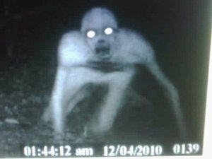 Камера в Луизиане зафиксировала странное существо